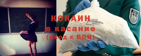 индика Алексеевка