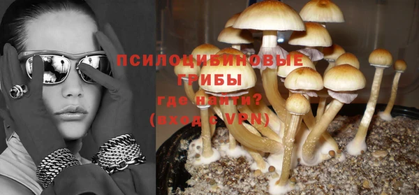 индика Алексеевка